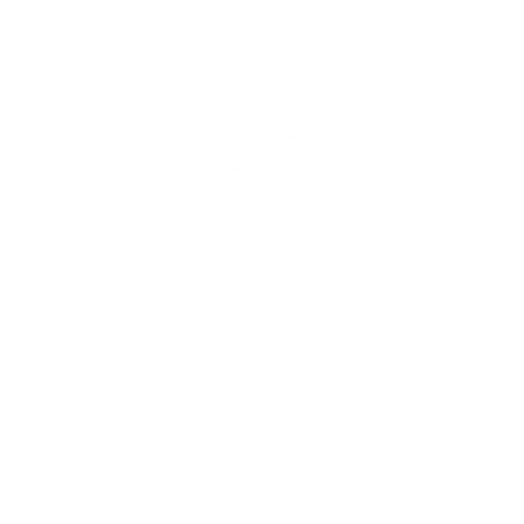 Cash Flow Allocation